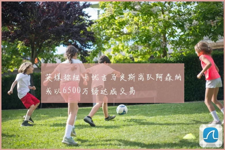 英媒称纽卡忧吉马良斯离队阿森纳或以6500万镑达成交易