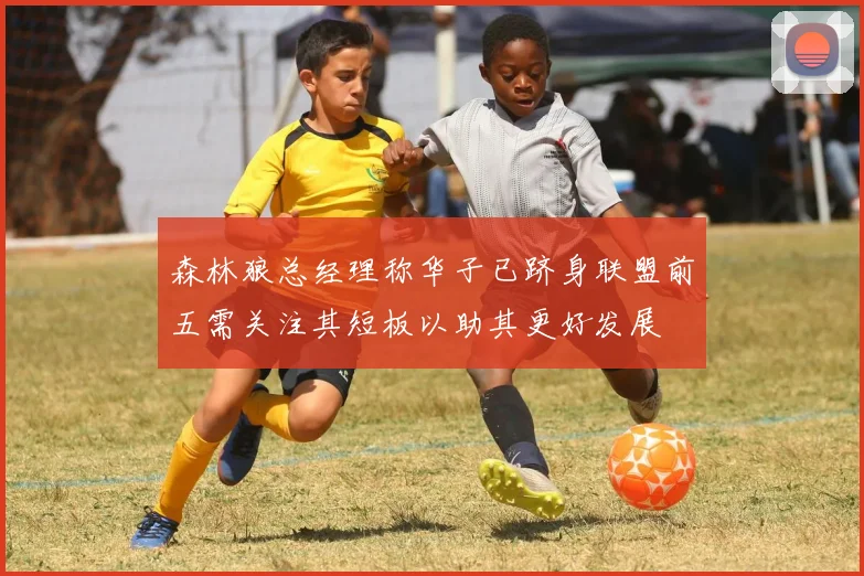 森林狼总经理称华子已跻身联盟前五需关注其短板以助其更好发展